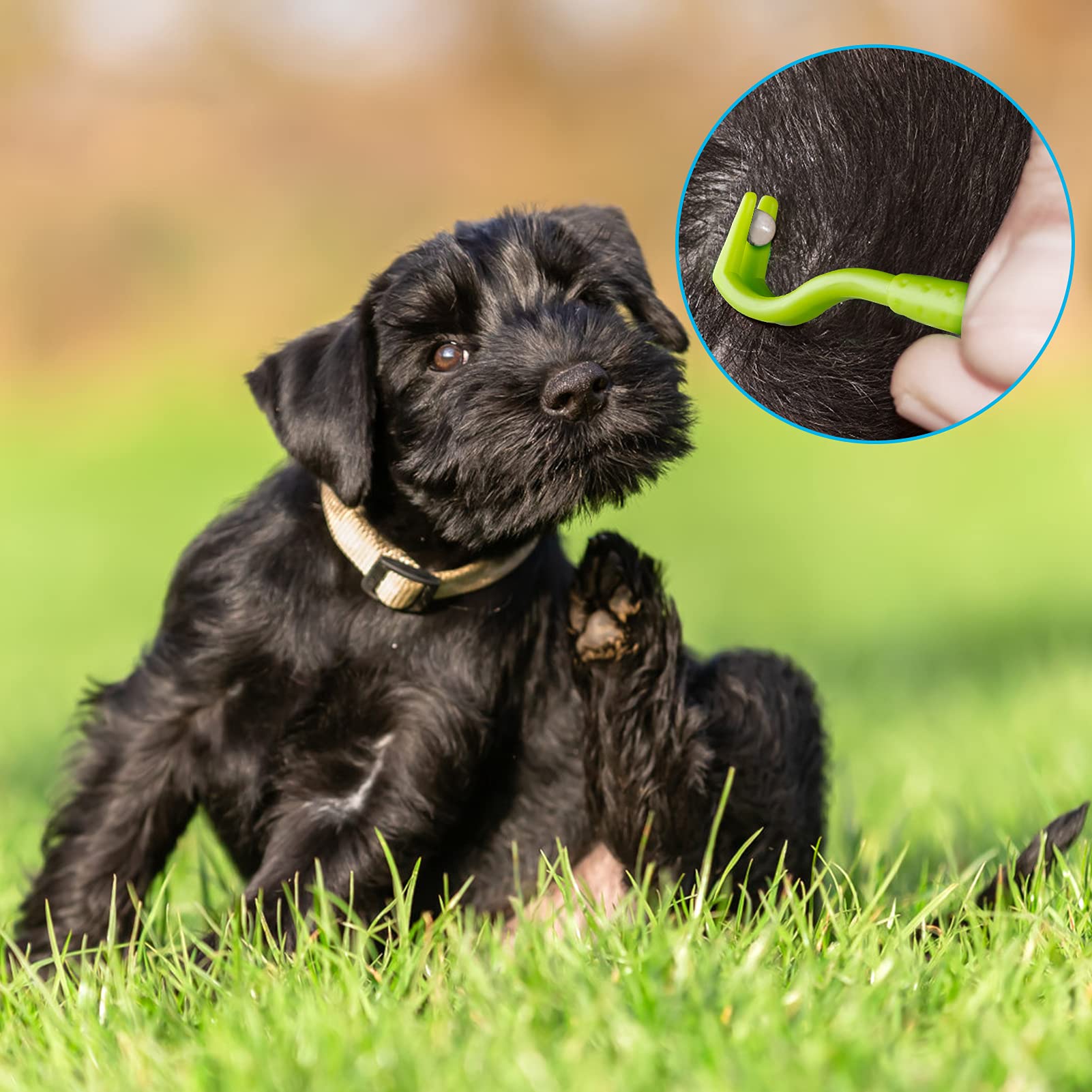 Kiiwah 6 pcs Tire Tique, Pince à Tique de en Acier Inoxydable, Crochet Tiques en Plastique avec Boîte de Rangement pour Chiens et Chats