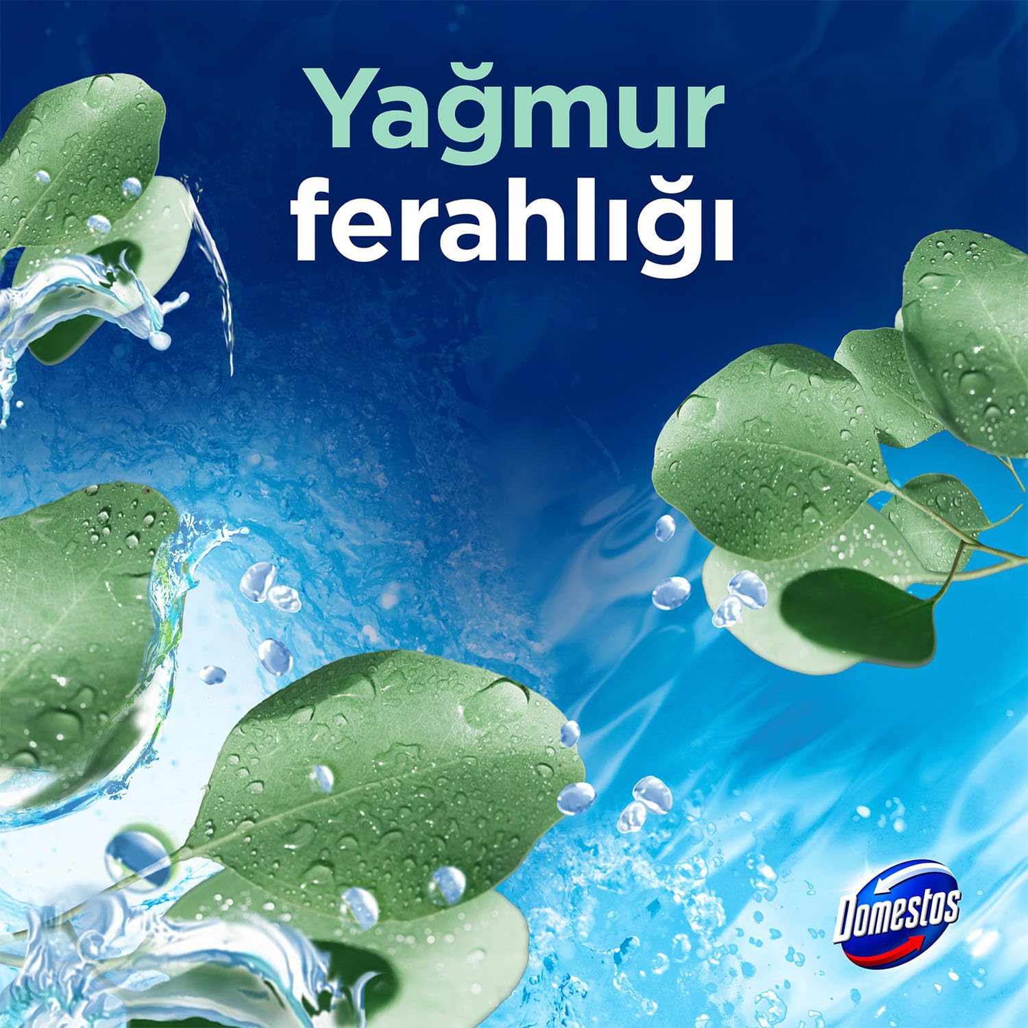 Domestos Tuvalet Bloğu Yağmur Ferahlığı 100 Gram (2 paketi)