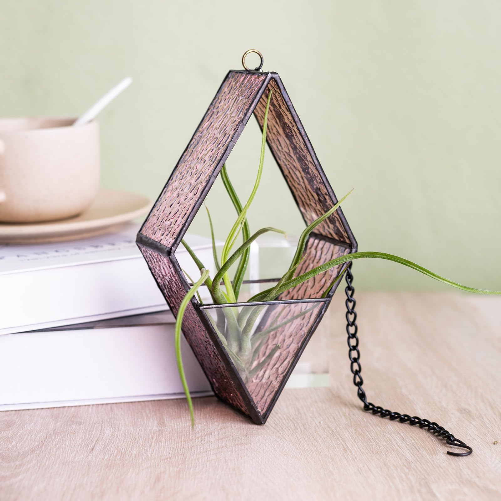 Florarium En Verre Mignon, Terrarium Géométrique Avec Succulentes Et Cactus. Terrariums Avec Des