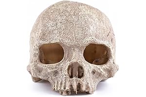 Enigmatic Skull Aquarium Decor: Underwater Sanctuary for Spooky Adventures