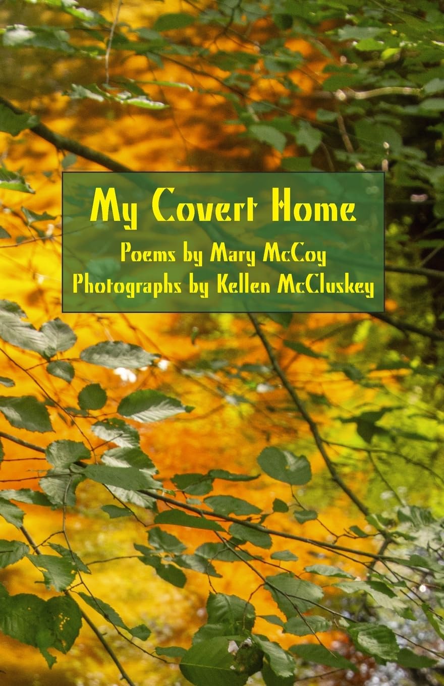 My Covert Home