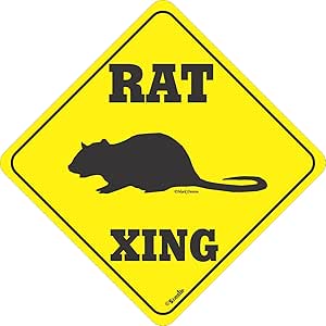 Amazon.com: Rat XING Sign : Home & Kitchen