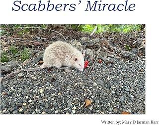 Scabber's Miracle