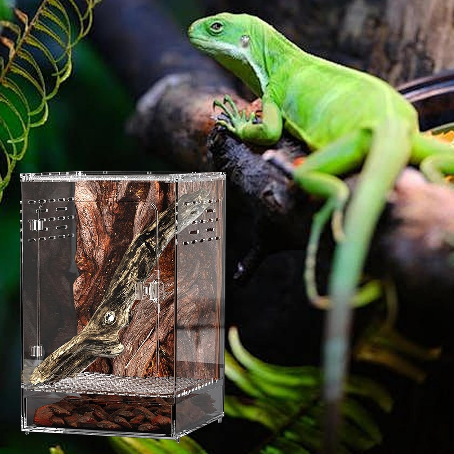 Jumping Spider Enclosure, 12-Inch Ventilated Acrylic Habitat for Spider and Praying Mantis Breeding with ing Function for Lizard, Gecko, Crickets, Scorpion, Beetles, Reptile, Crab, Snake, Sn