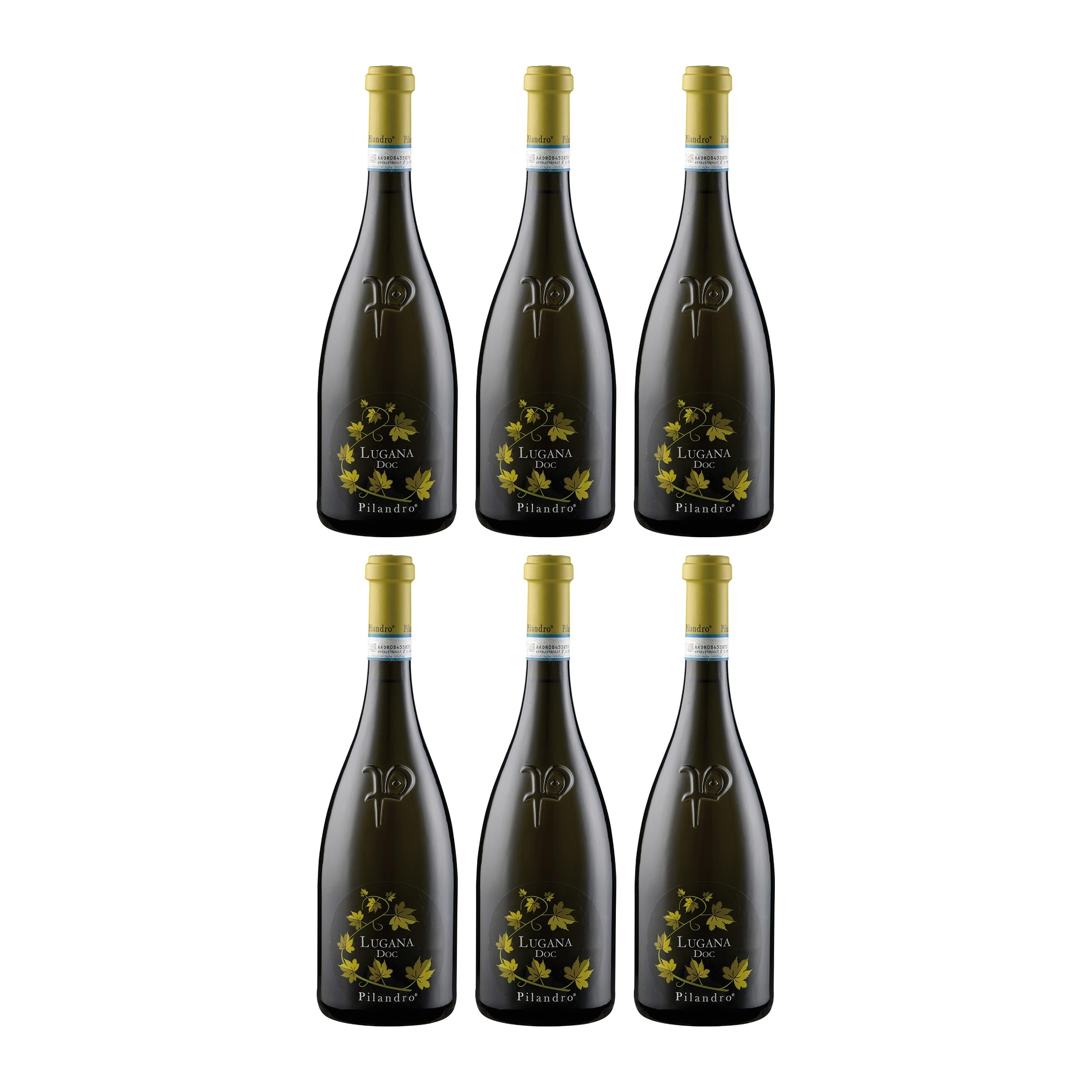 Pilandro Lugana DOC Weisswein Weiss trocken Italien inkl. FeinWert E-Book (6 x 0.75 l)