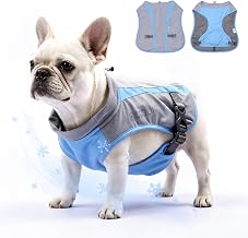 Mora Pets Dog Cooling Vest Lightweight UV Protective Light Gray Blue M | UPF 50 Sun Protection Fabric with Evaporative Cooling, Breathable Mesh and Hidden Leash Access for Small Medium Large Dogs