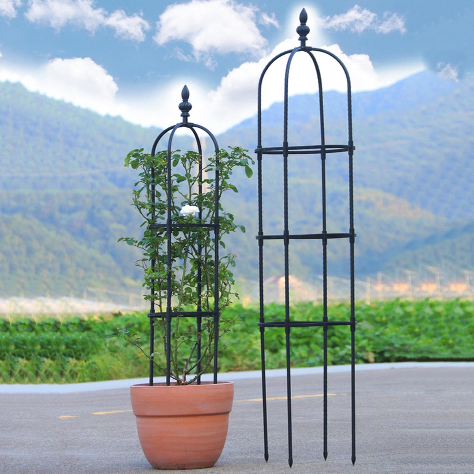 Obélisque de jardin noir – Aide à l'escalade en acier inoxydable avec