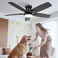 Ventilador de Teto Economizador de Energia 106,7 cm com Controle Remoto, Luz LED e 6 Velocidades, Bivolt 110V/220V, Ventiladores para Sala e Quarto, Preto