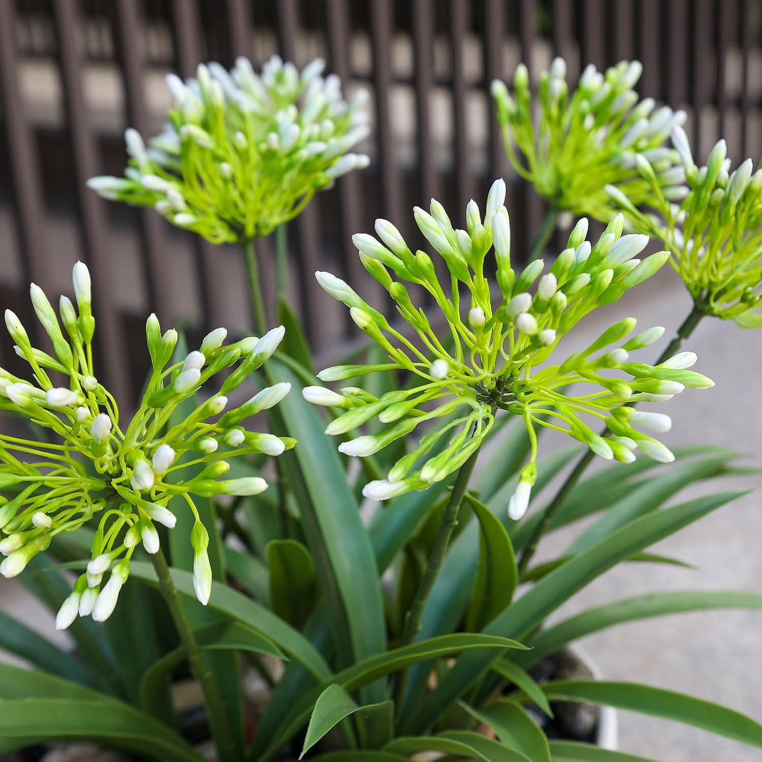 Faux Outdoor Flowers Realistic Artificial Plants 8 Bundles Plastic Flower Outside 18.9 in Fake Greenery Stems Green Flower for Pot Planter Decor Outside
