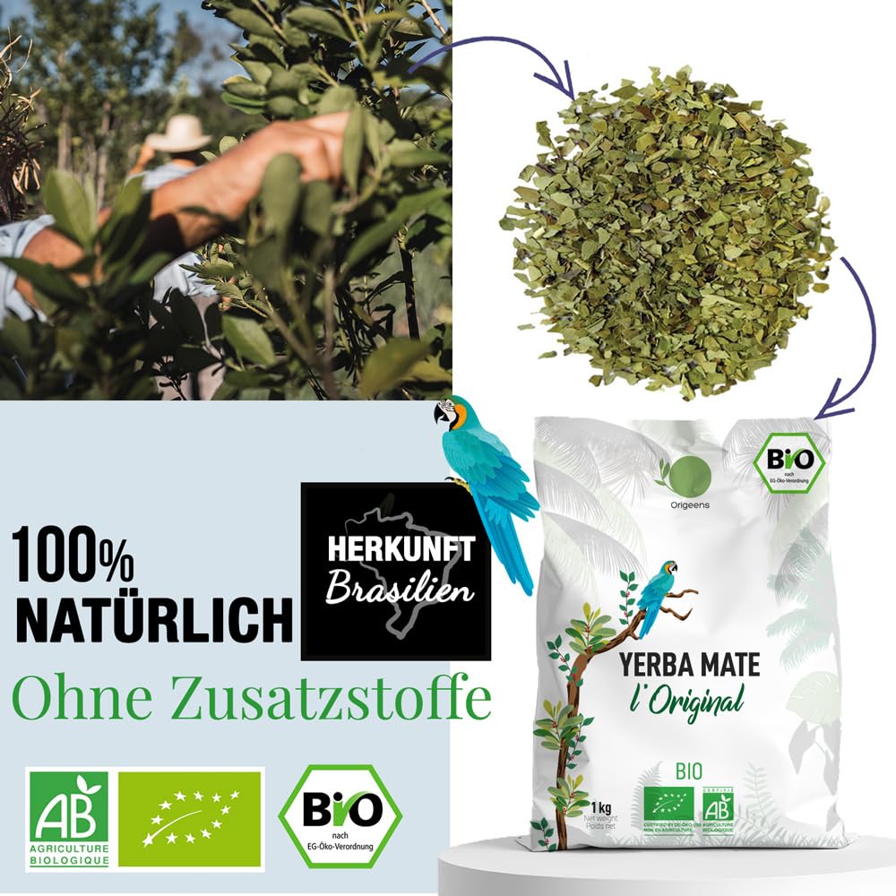 ORIGEENS BIO YERBA MATE TEE 1 KG - Das Original I Bio Yerba Mate Handgepflückt, Ungeröstet - Blätter, Frei von Stängeln, Staub und Krümeln - Energie- und Detoxgetränk (Original 1k)