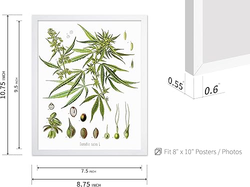 Miniatura 499 de Poster Master Póster vintage de orquídea, estampado de flores retro, arte de pared de plantas exóticas, arte botánico, regalo para hombres y