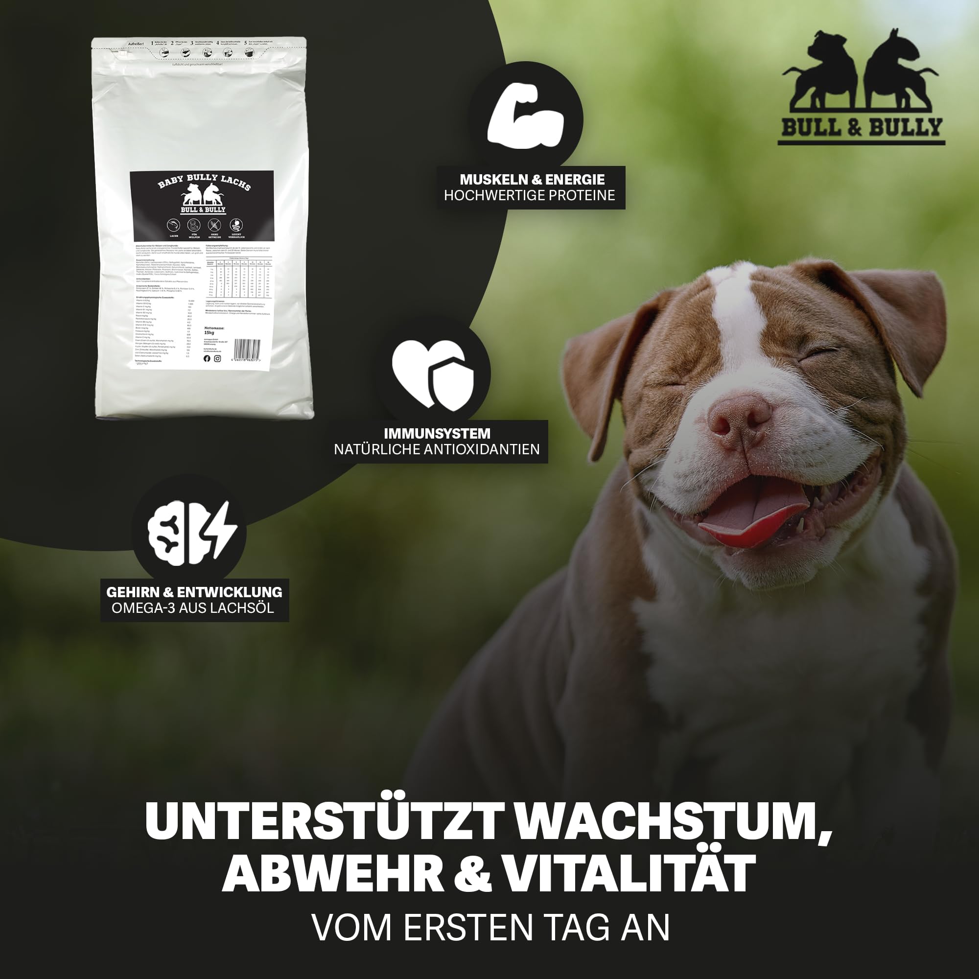 Hundefutter Trocken Baby Bully Lachs – Trockenfutter für Hunde 15Kg | Tierärztlich entwickeltes Hundetrockenfutter Premium Dog Food – Energiereiches Monoprotein Hunde Futter von BULL & BULLY