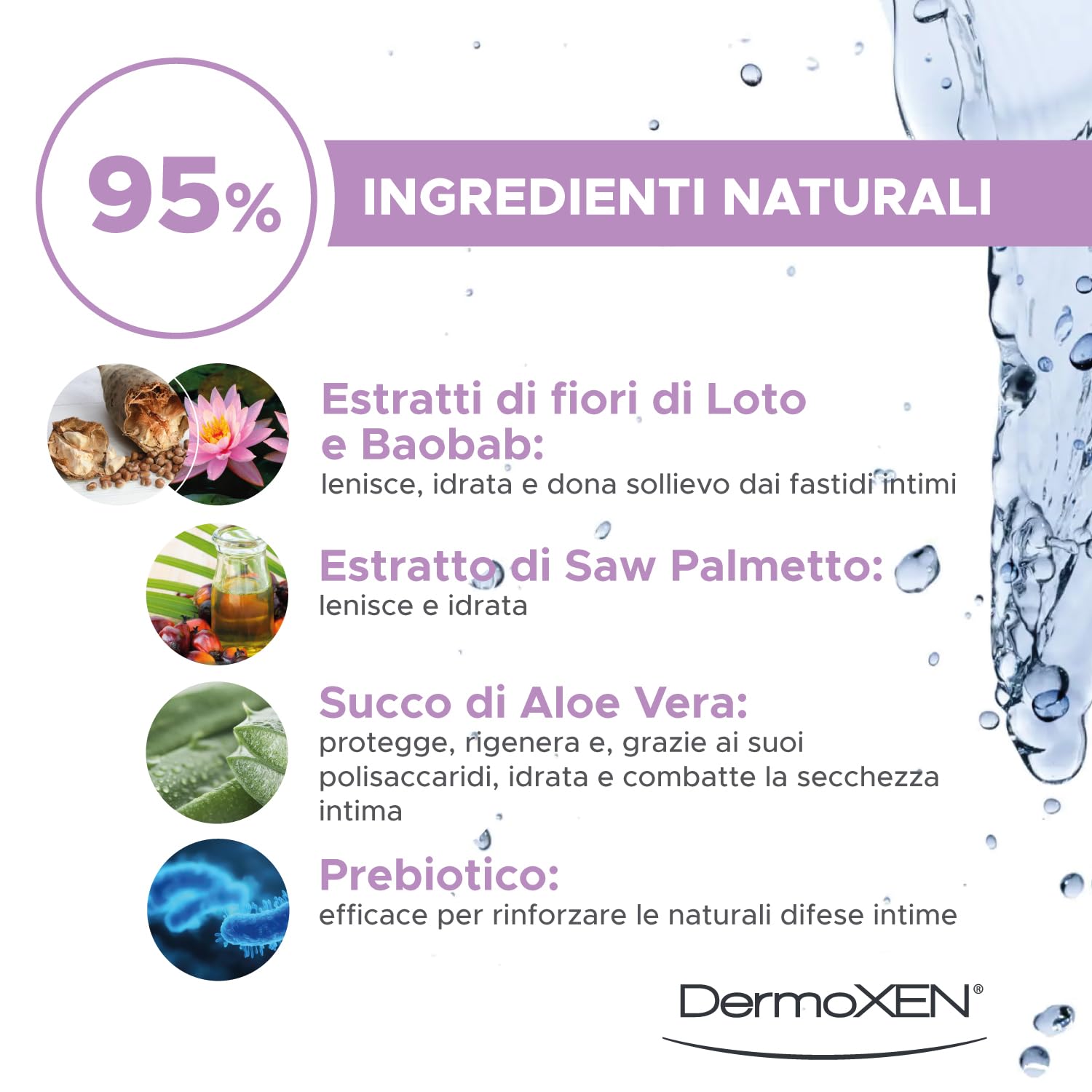 DERMOXEN Detergente Intimo Lenitivo e Idratante per Menopausa | 200ml | Sapone contro secchezza, prurito e arrossamenti. Con aloe vera, fiori di loto e prebiotici. Delicato, per l'uso quotidiano