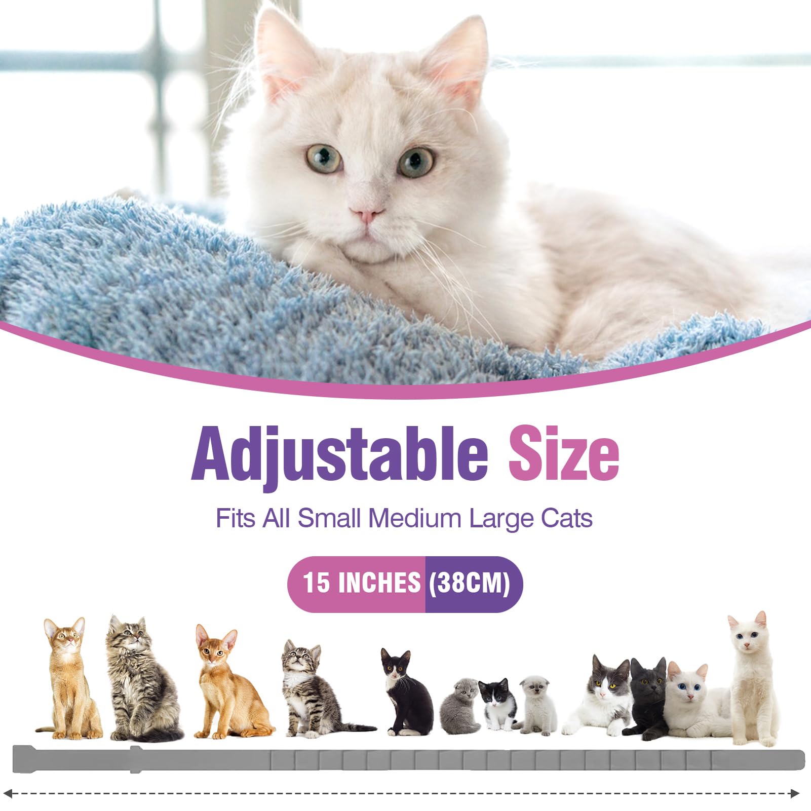 Tcllka Cat Calming Pheromone Collar 4 Pack – Adjustable Breakaway Cat Collar for Calming Support & Relaxation Waterproof 30-Day Continuous Wear for Travel, Grooming & Multi-Cat Homes - image 6