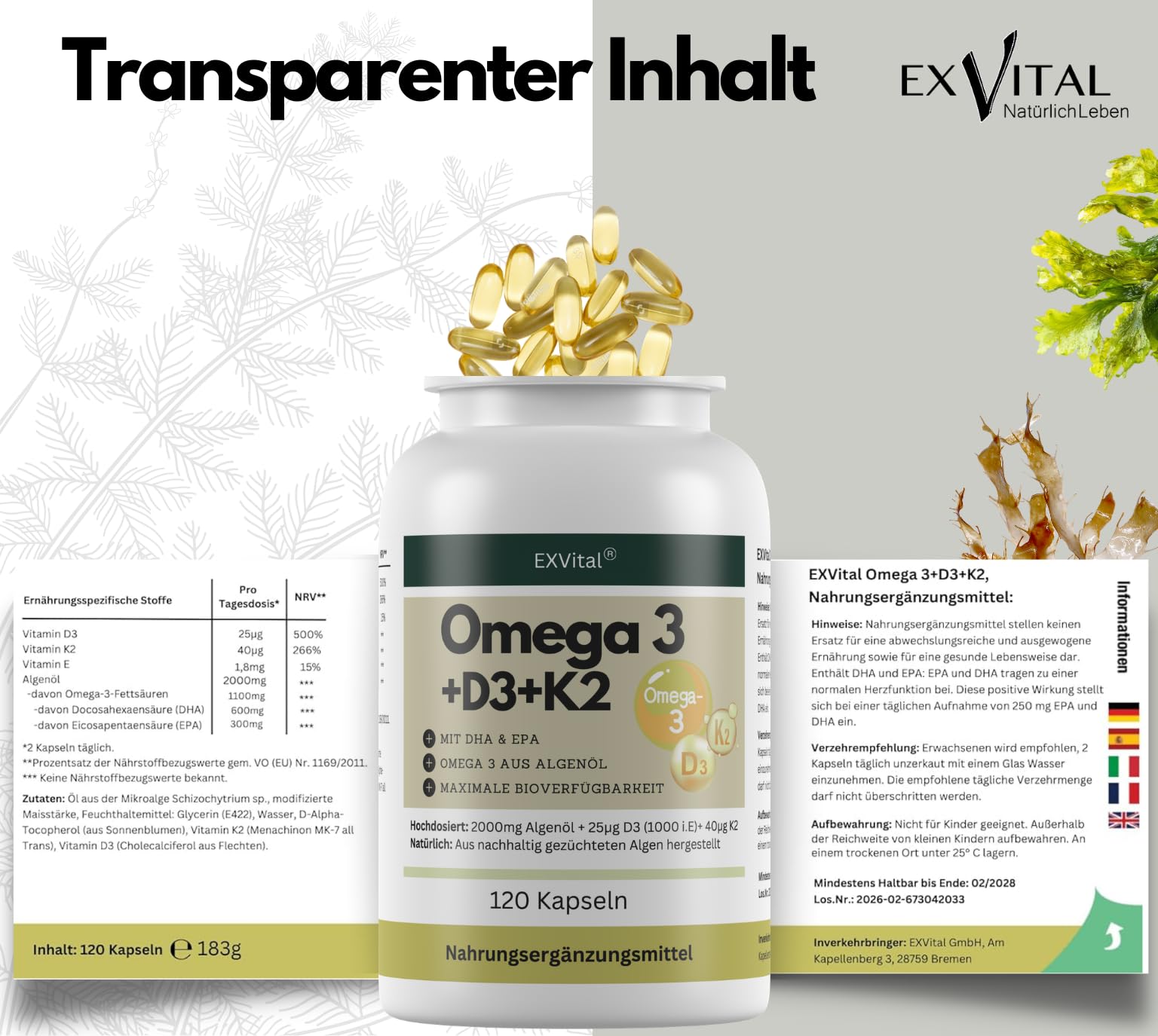 Omega 3 vegan + D3 & K2, 120 Kapseln, 1100mg Algenöl mit 600mg DHA & 300mg EPA + 1000 IE Vitamin D3 + 40 µg Vitamin K2 - O3 D3 K2, hochdosiert & laborgeprüft