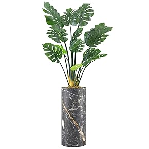 SIGNWIN Monstera Tree with Black, White & Gold...