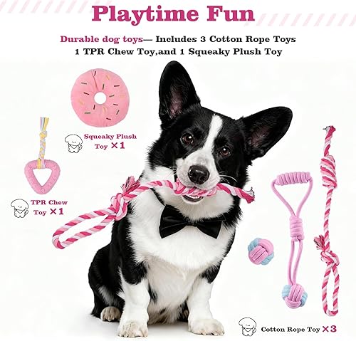 Miniatura 5 de Kit de inicio para cachorros Esenciales para cachorros y cosas para perros pequeños, incluye cuencos, juguetes, cepillo de dientes, bolsa de