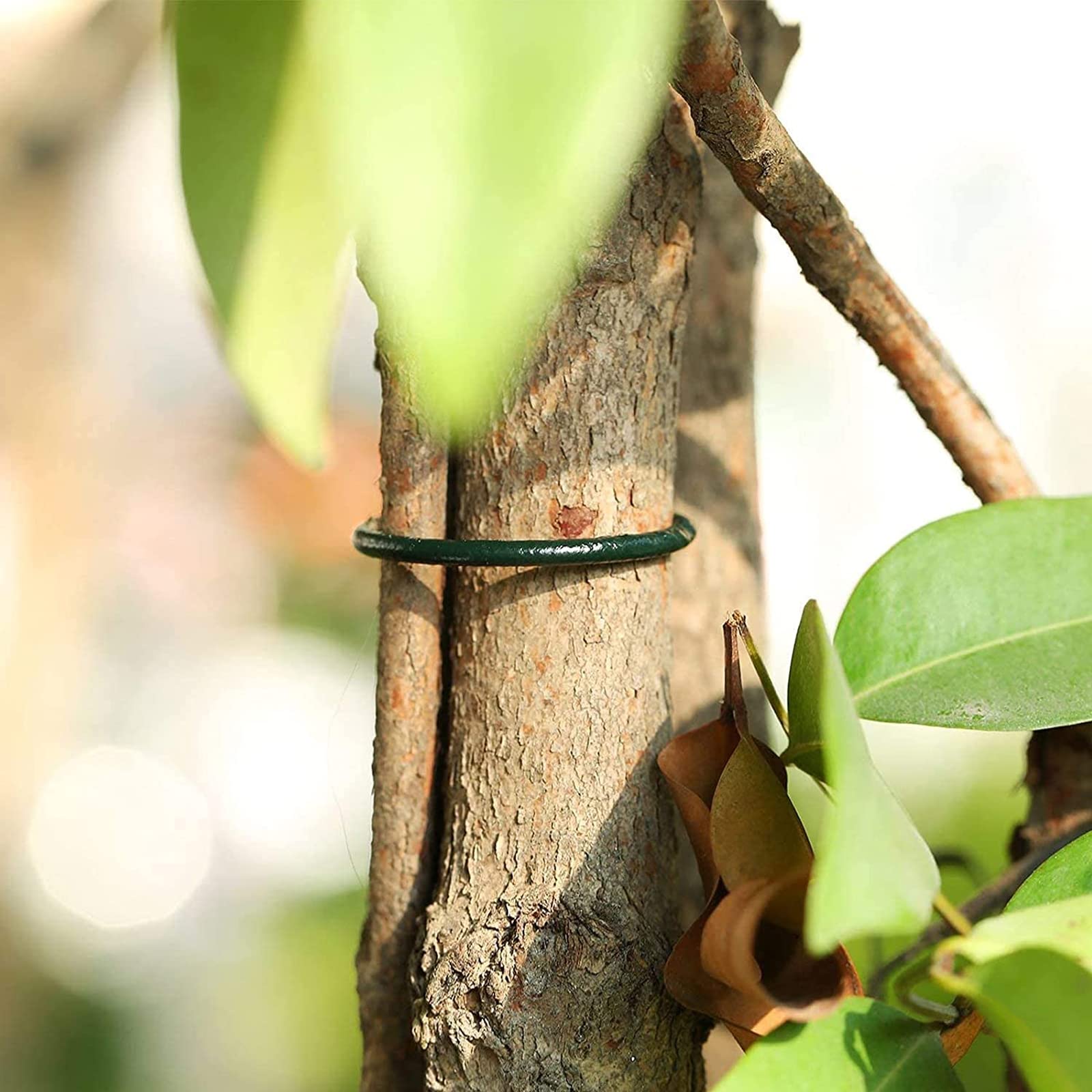 TSHAOUN 100 Pièces Clips De Jardin Support Pour Plantes Clips, Réutilisables Pinces à Plantes Cernes En Plastique, Clips De Plantes Durables Twisty Plante Anneaux Pour Soutenir La Plante Grimpantes