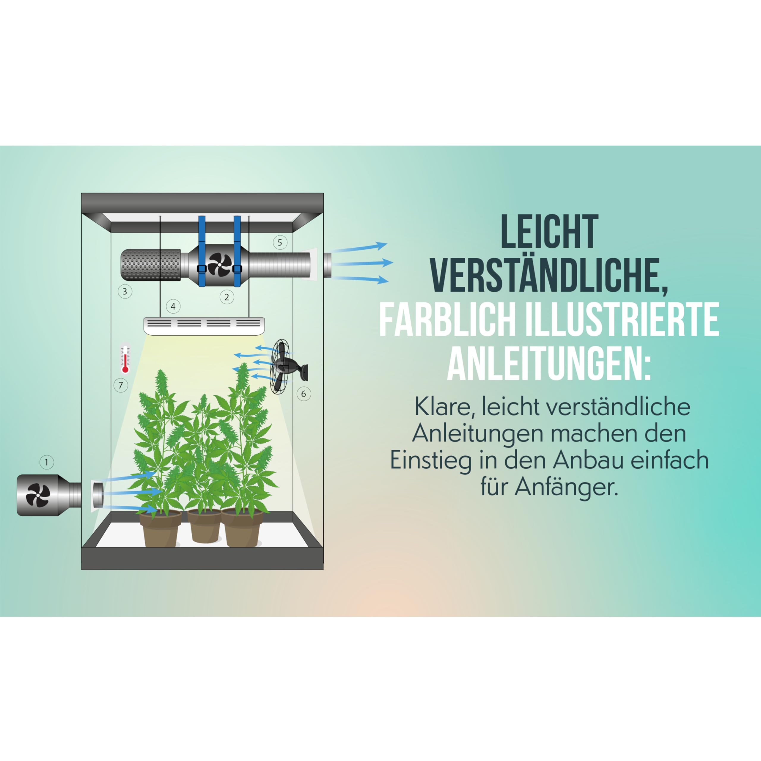 Hanfanbau leicht gemacht - Vom Samen bis zur Blüte: Der komplette Guide für eine erfolgreiche Cannabisernte - Inkl. Strategien für Indoor, Outdoor, Schädlingsbekämpfung und Nährstoffmanagement