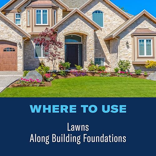 Miniatura 5 de BioAdvanced - Complete Insect Killer para suelo y césped, listo para aplicar, 32 onzas (paquete de 2)