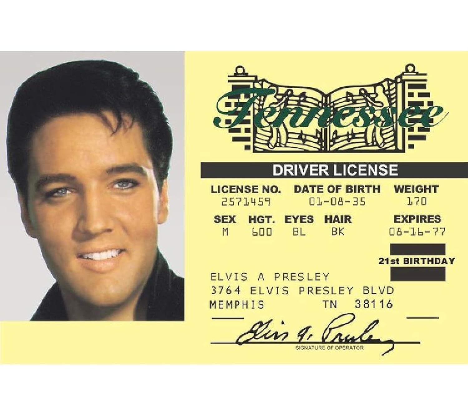 Signs 4 Fun Elvis ID, Yellow