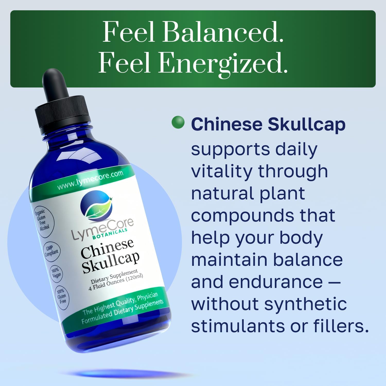 LymeCore Chinese Skullcap Liquid Extract | Baikal Root Supplement for Immune Support & Wellness | 4 fl.oz. - Image 3