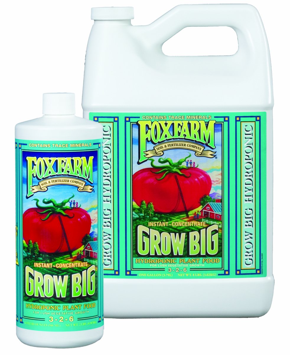 Grow Big Hydro Liquid Concentrate Fertilizer Size: 1 Quart