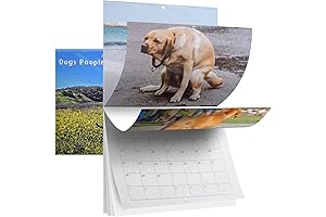 Snoop Dogg Calendar 2021: The Perfect Gift for Snoop Dogg Lovers