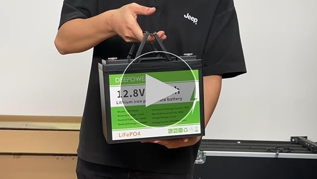 Amazon.com: Zylvro 12V 100Ah LiFePO4 Battery with Display