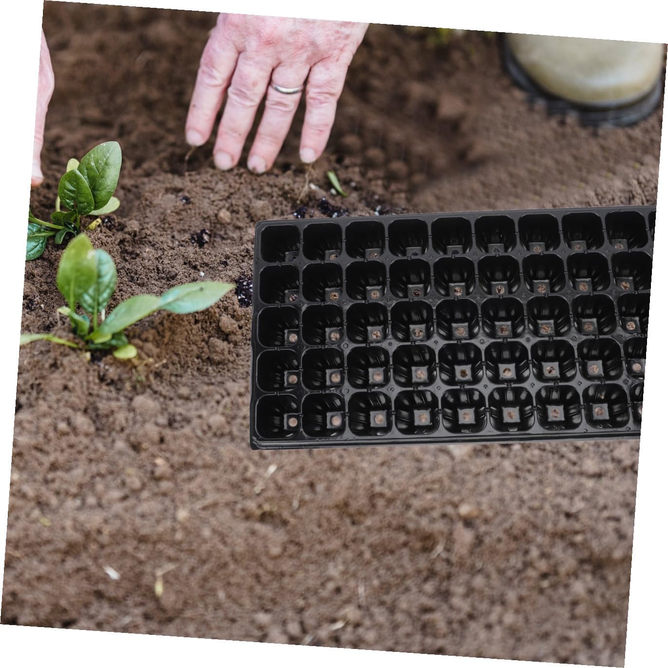 10pcs Thickened Nursery Plates 50-Cell Germination Trays Plastic Seed Starter Garden Planter Boxes for Seedlings and Indoor Greenhouse Planting