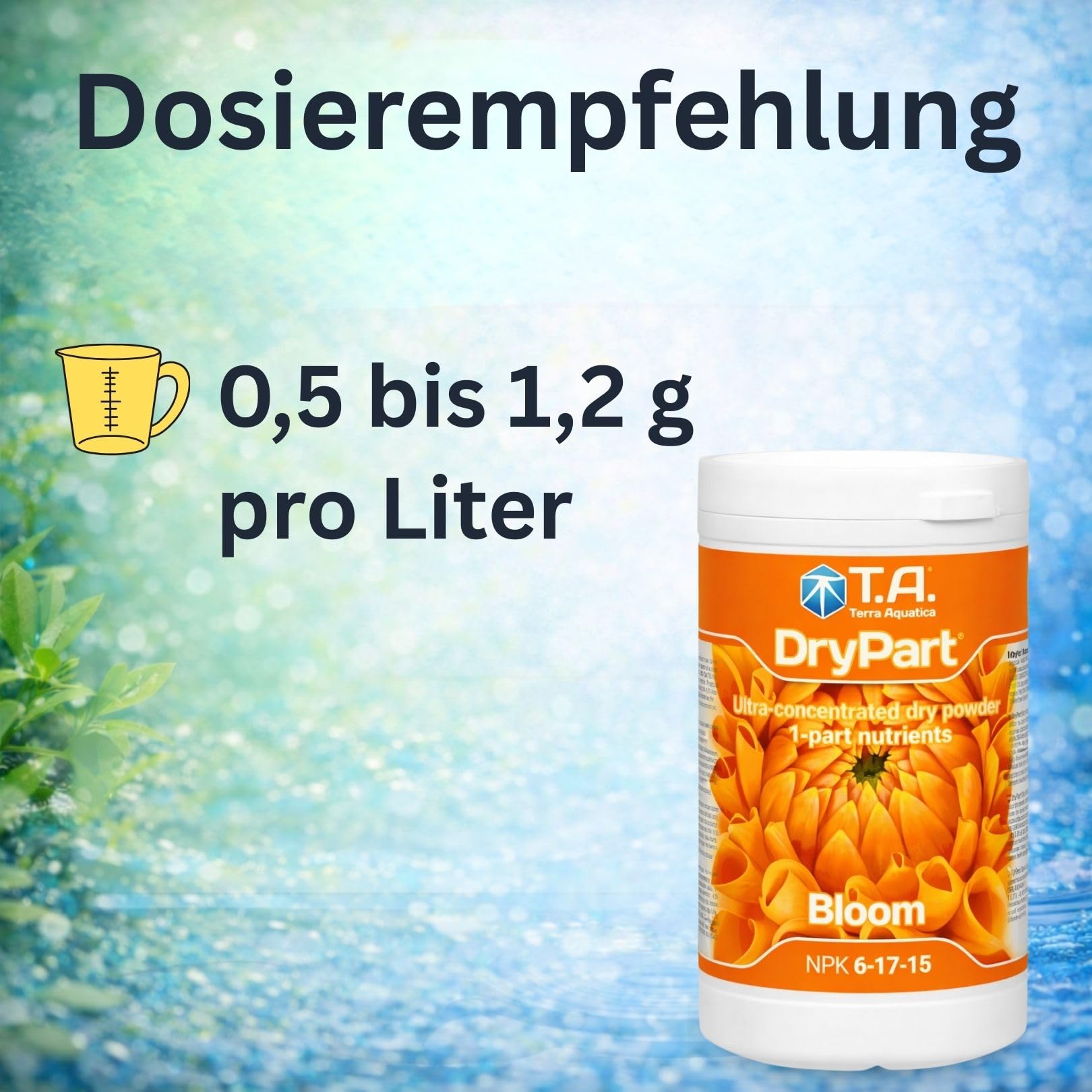 T.A. Dry Part (Dry Set)
