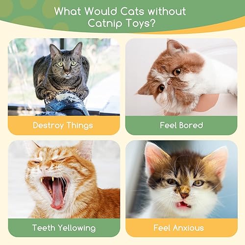 Miniatura 5 de Nobleza Juguetes de hierba gatera, 5 juguetes masticables para gatos de interior, lindas formas de animales, juguetes de dentición con papel