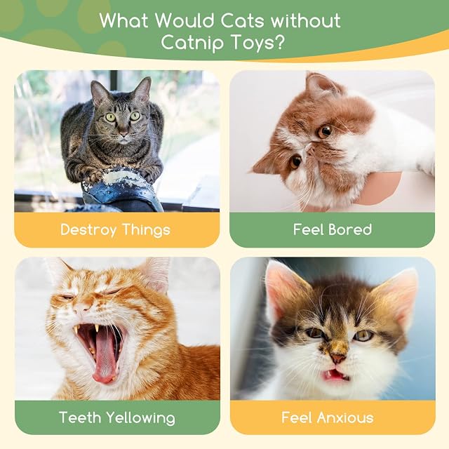 Foto 5 de 7 de Nobleza Juguetes para Gatos con Catnip, 5 Piezas de Peluche Formas de Animales, Mordedor con Papel Crujiente