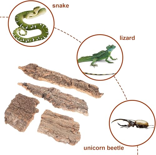 TOYANDONA 4Pcs Reptile Bark Decor, Natural Cork Bark, Terrarium Accessories for Reptile Hide, Snake Habitat, Tortoise Tank Decor