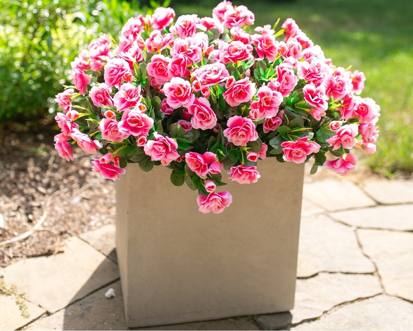Amazon.com: HyeFlora Artificial Fake Flowers Plants for Outdoor