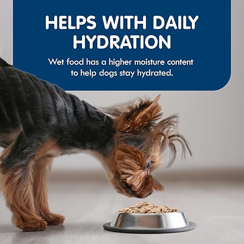 Miniatura 4 de Blue Buffalo Delights - Alimento húmedo natural para perros adultos de raza pequeña, estilo paté, pollo, solomillo superior y filete mignon, 3.5