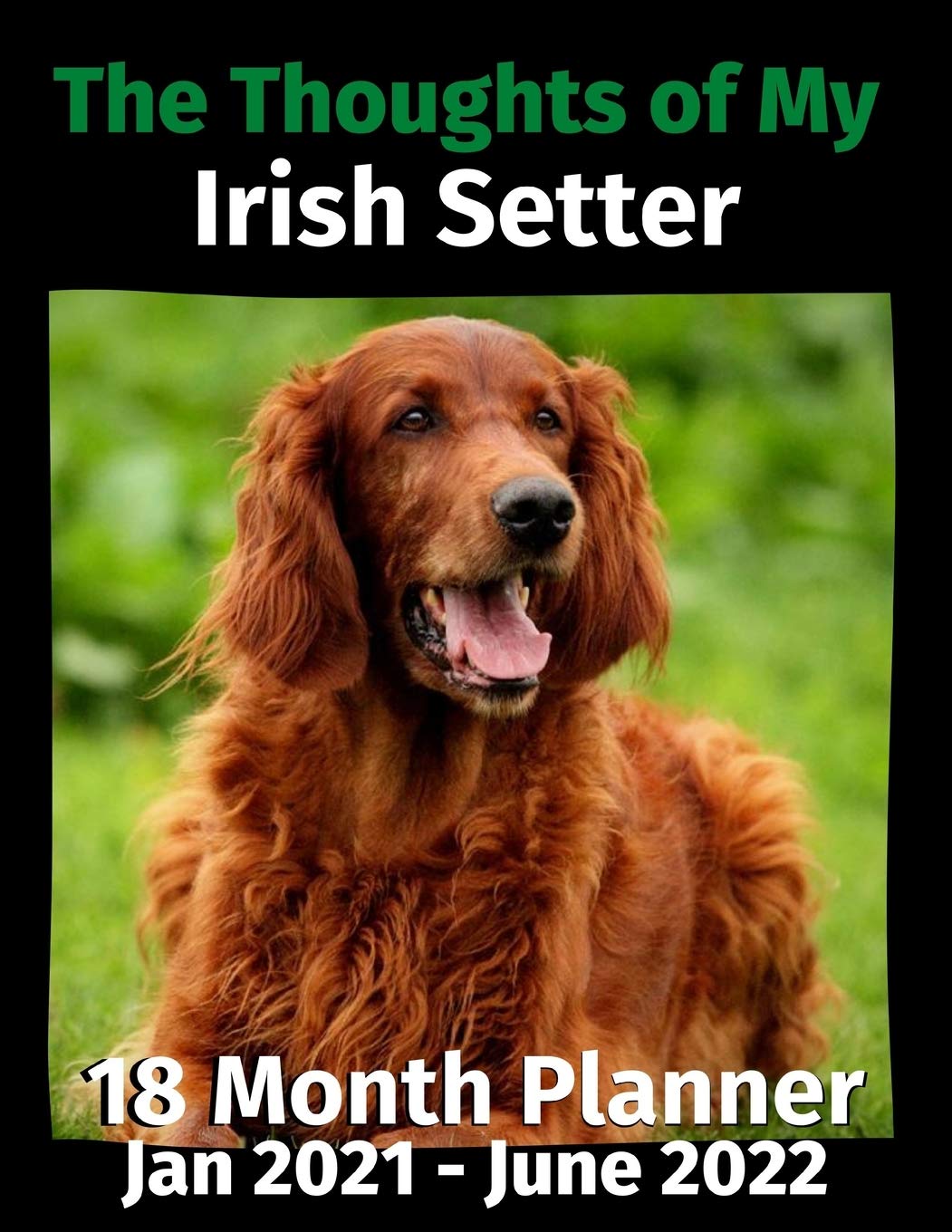 The Thoughts of My Irish Setter: 18 Month Planner Jan 2021-June 2022