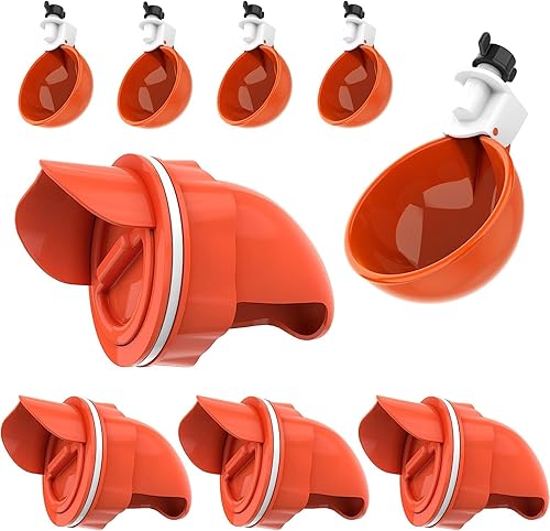 Lil'Clucker Vasos de agua de pollo y comederos de puerto para bricolaje