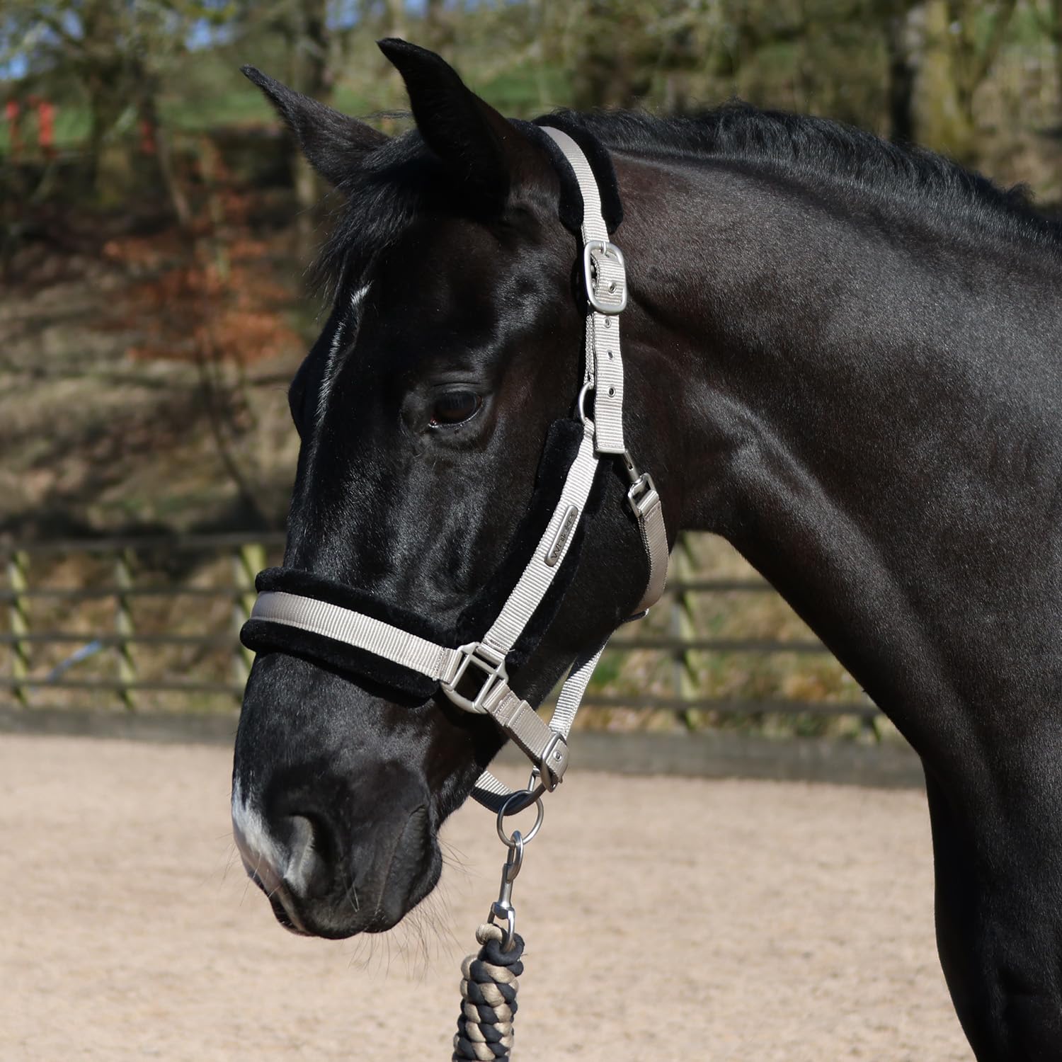 John Whitaker Holmfirth Halter Furry Headcollar and Leadrope Set for Horses (Taupe, Full)