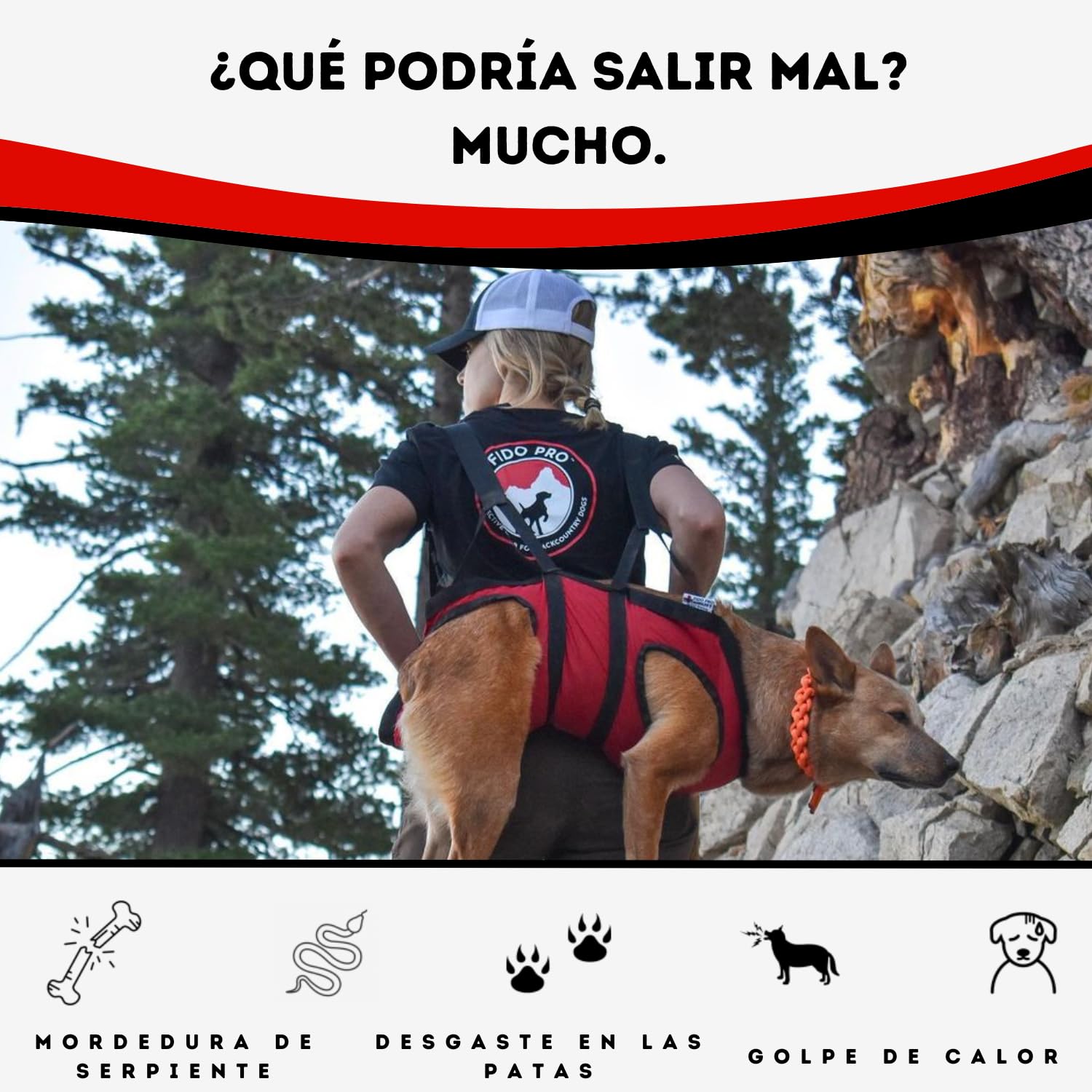 Fido Pro Arnés Panza V2 con Rescate de Emergencia Desplegable - Arnés para Perros Medianos a XL con Bolsillos, Hebillas de Escalada, Asa de Elevación y Equipo de Senderismo, 14 a 68 Kilogramos (Negro)