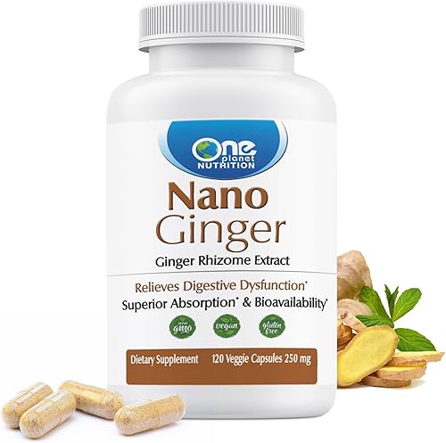 One Planet Nutrition Nano Ginger Root - Cápsulas vegetales de 250 mg (120 porciones), extracto de raíz de jengibre puro, nano para una absorción