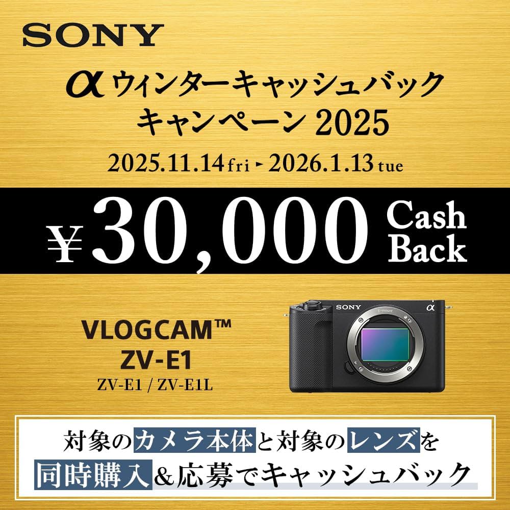 Amazon.co.jp: ソニー / Vlog用カメラ / レンズ交換式VLOGCAM / フル