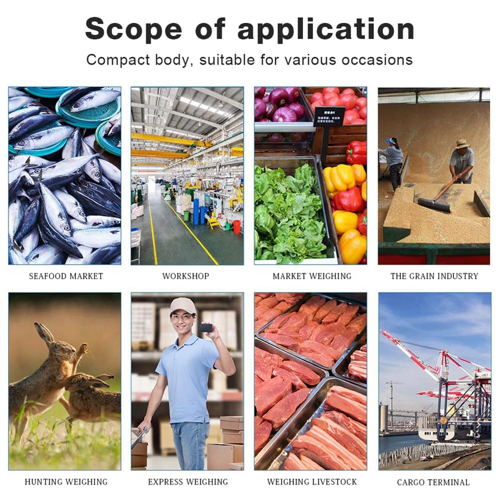 Hängewaagen, Industrielle Hängewaage 300 kg 50 g for Landwirtschaft und Fischerei