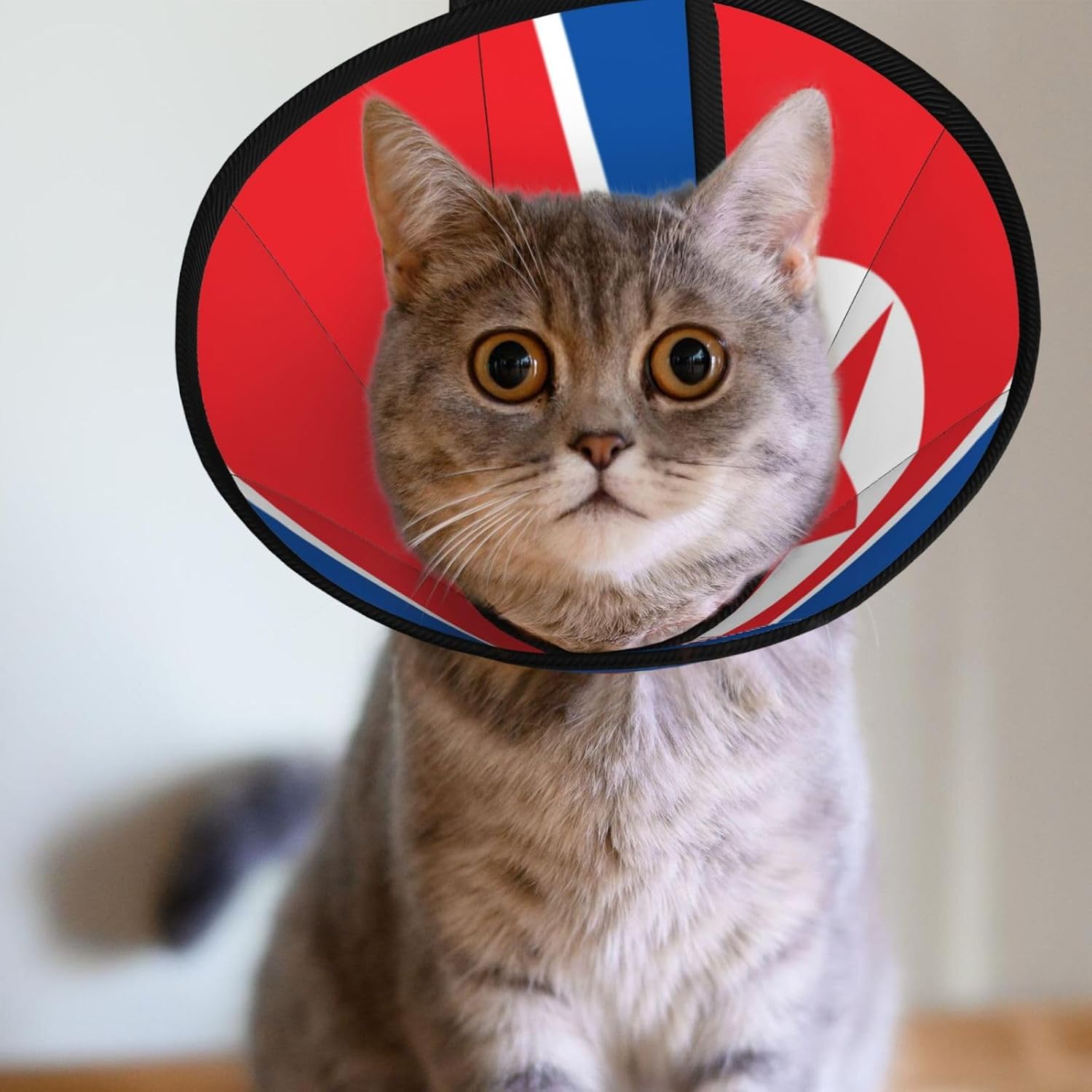 Custom Pet Cones - Unique Design Cat & Dog Cone, Collar for Post-Surgery Recovery, Adjustable Neck North Korean Flag Large