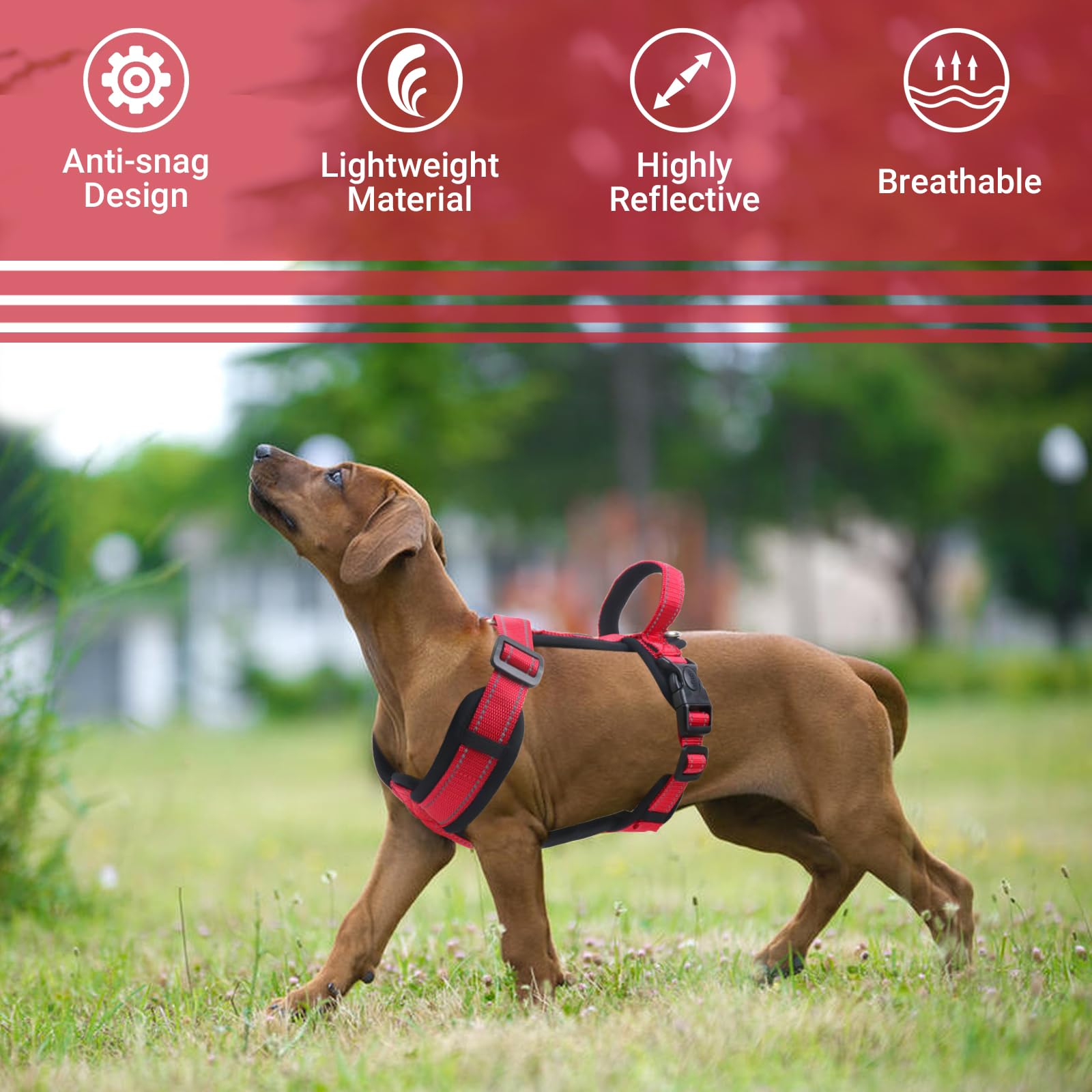LiebeDD Pettorina Cane Taglia Grande - Pettorina Antifuga Cane - Pettorina Anti Tiro per Cani Imbracatura Regolabile Bulldog Francese Pettorina per Addestramento e Easy Walk, Rosso, L