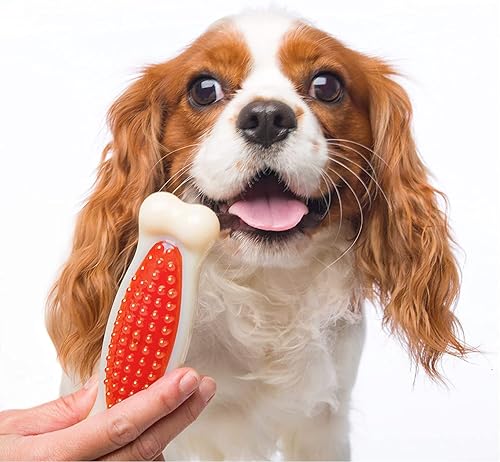 Vista 33 de Hartz Chew 'n Clean Dental Duo - Juguete para masticar y masticar para perros, el color varía, grande, paquete de 3 Naranja, verde