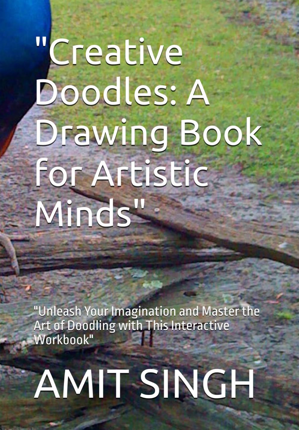 Creative Doodles: A Drawing Book for Artistic Minds": "Unleash Your Imagination and Master the Art of Doodling with This Interactive Workbook