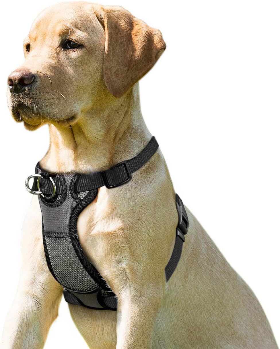 JESPET Dog Harness No Pull with Adjustable Straps for
