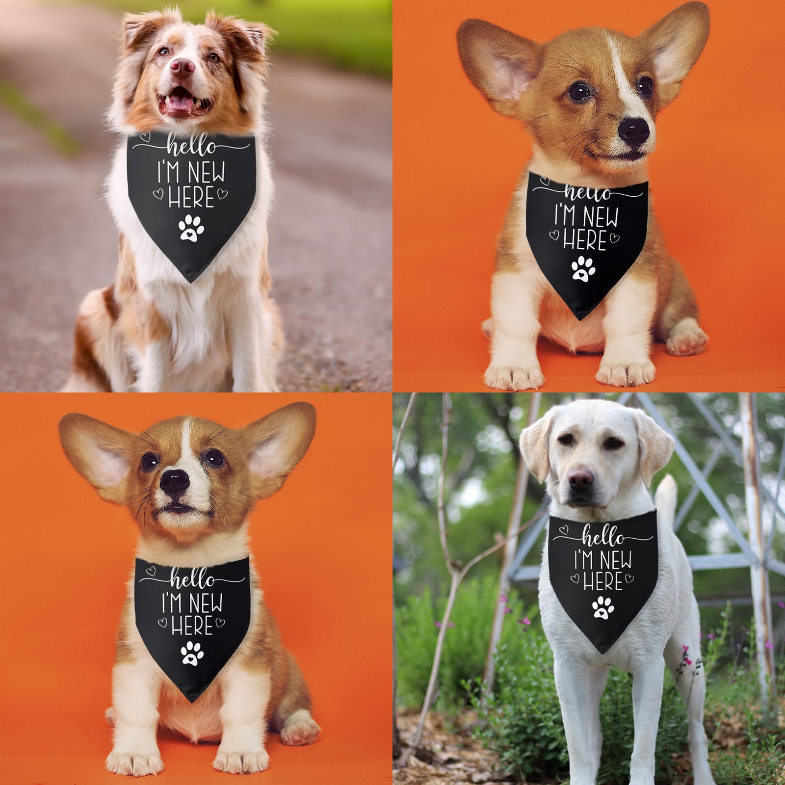 Bandana para perros con texto en inglés «Hello I'm New Here», regalo para nuevos propietarios, bandana para cachorros, regalos para dueños de perros, baberos triangulares, accesorios para perros