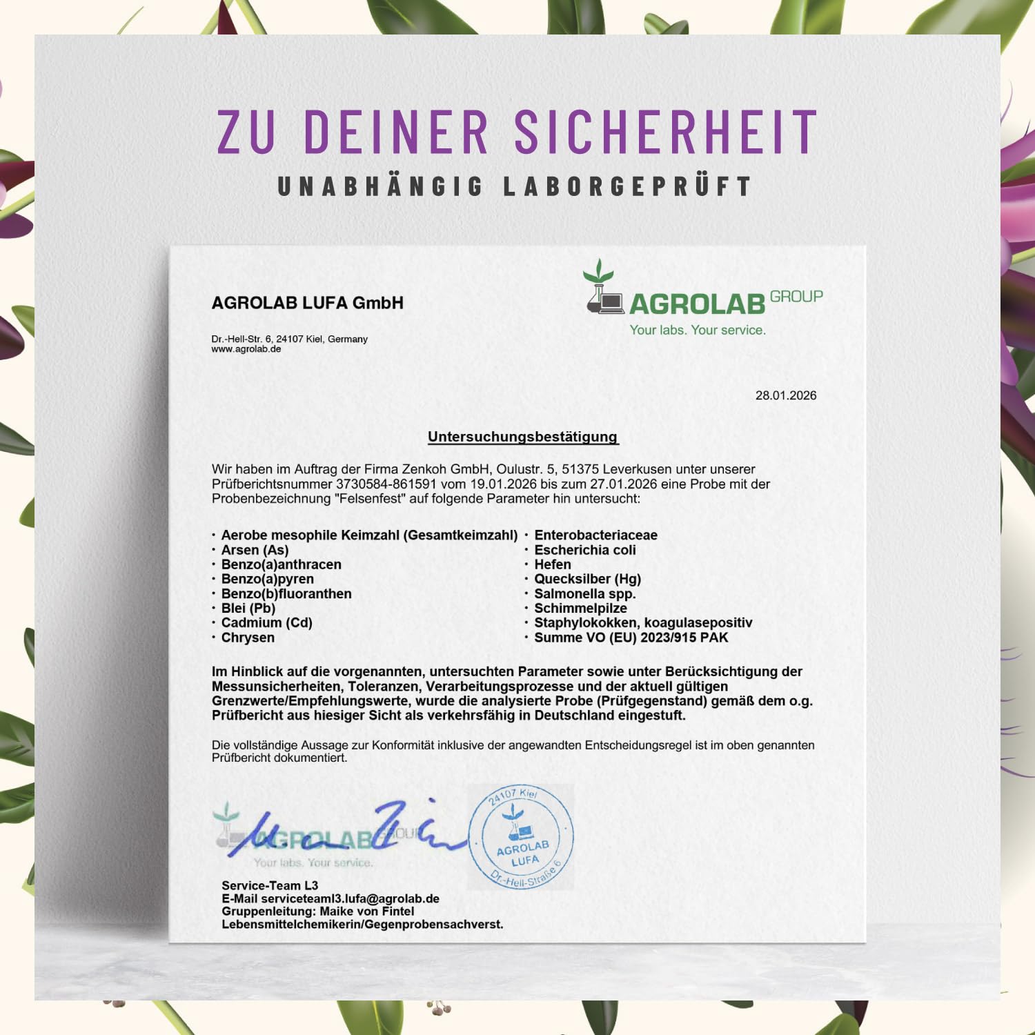 FELSENFEST - Johanniskraut Baldrian Passionsblume Kapseln hochdosiert - Vergleichssieger * - St Johns Wort mit Folsäure & B12 - Vegan - 90 Kapseln